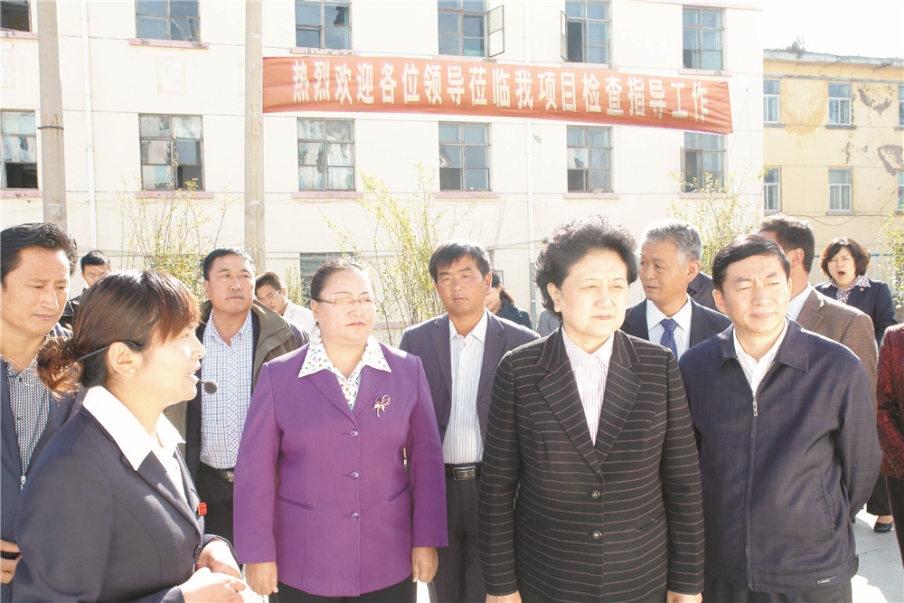 4中央政治局委员，国务院副总理、党组成员刘延东视察湖北卓越集团青海项目部 